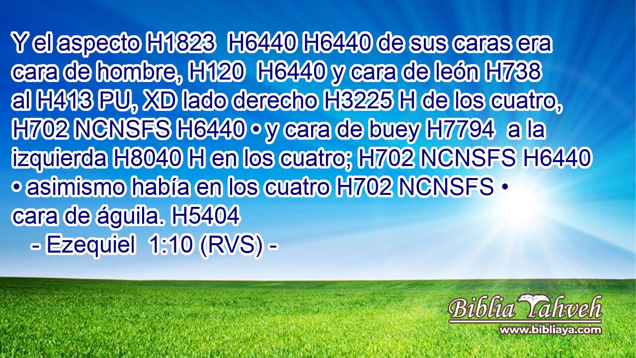 Y el aspecto H1823  H6440 H6440 de sus caras era cara de hombre, H120  H6440 y cara de león H738  al H413 PU, XD lado derecho H3225 H de los cuatro, H702 NCNSFS H6440 • y cara de buey H7794  a la izquierda H8040 H en los cuatro; H702 NCNSFS H6440 • asimismo había en los cuatro H702 NCNSFS • cara de águila. H5404  