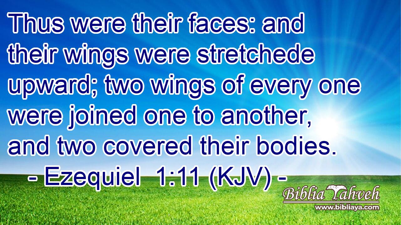 Thus were their faces: and their wings were stretchede upward; two wings of every one were joined one to another, and two covered their bodies.