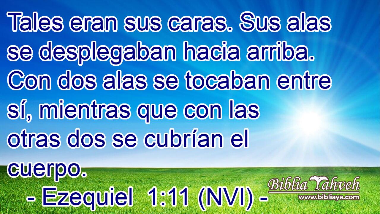  Tales eran sus caras. Sus alas se desplegaban hacia arriba. Con dos alas se tocaban entre sí, mientras que con las otras dos se cubrían el cuerpo. 