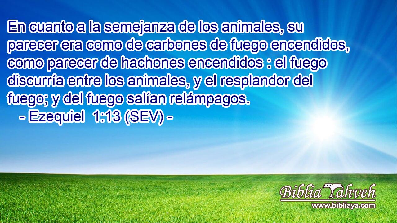 En cuanto a la semejanza de los animales, su parecer era como de carbones de fuego encendidos, como parecer de hachones encendidos : el fuego discurría entre los animales, y el resplandor del fuego; y del fuego salían relámpagos.