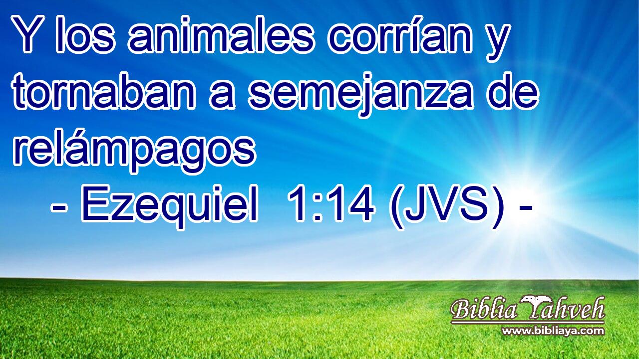 Y los animales corrían y tornaban a semejanza de relámpagos