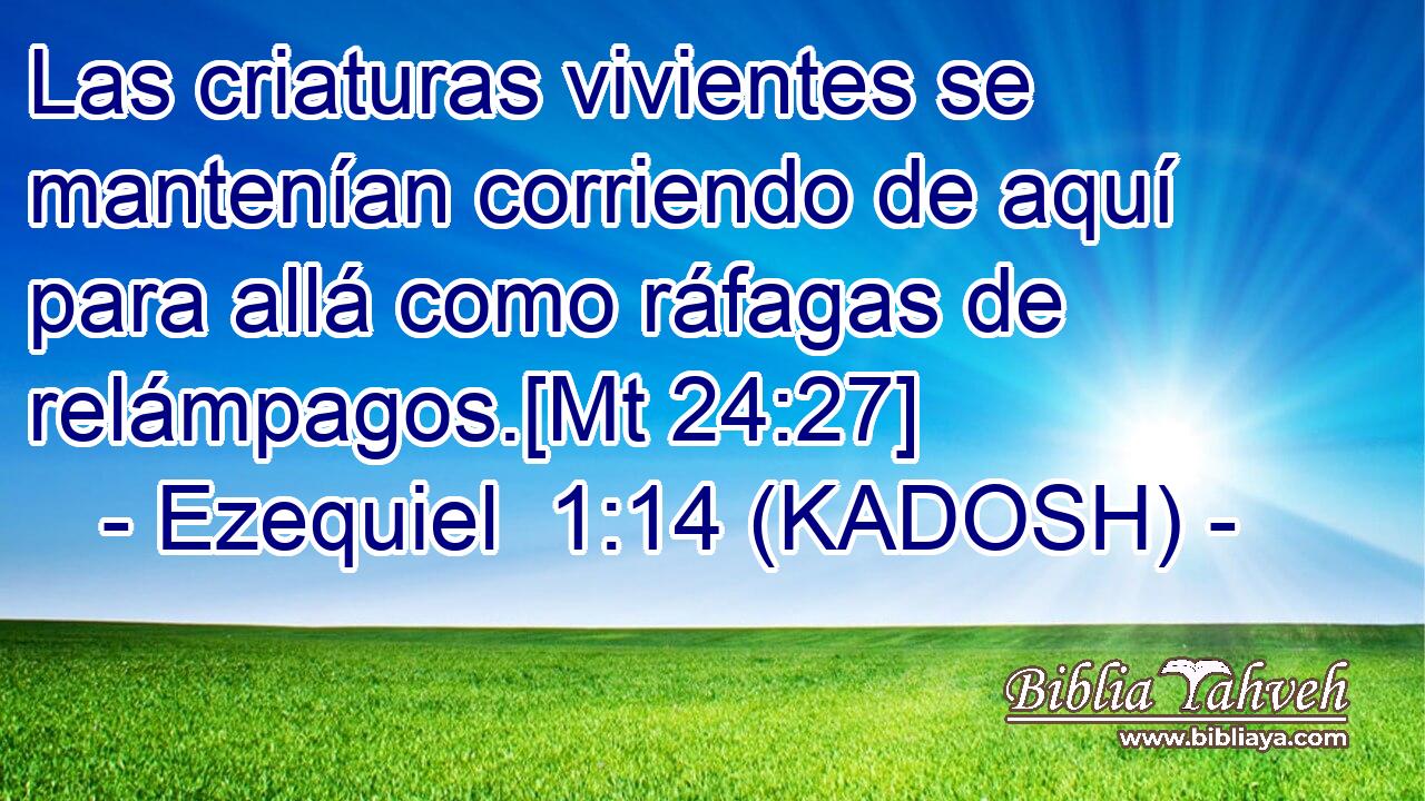  Las criaturas vivientes se mantenían corriendo de aquí para allá como ráfagas de relámpagos.[Mt 24:27] 