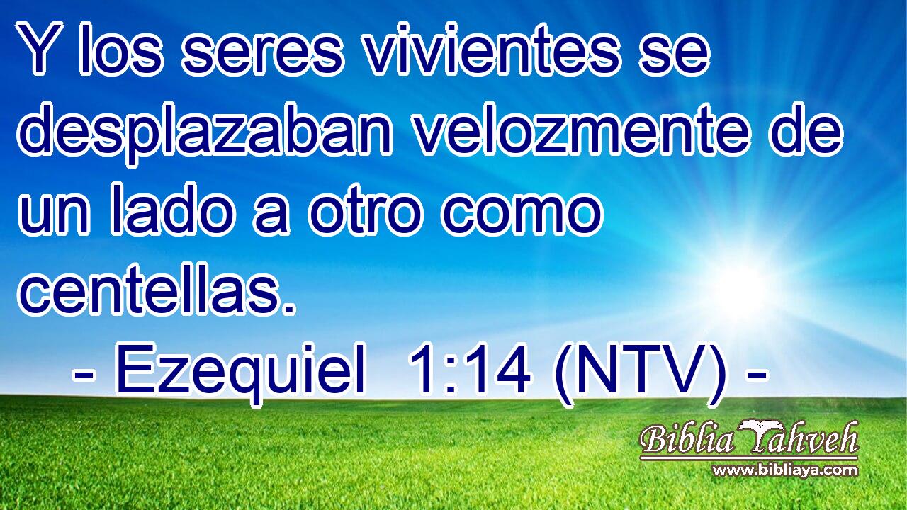 Y los seres vivientes se desplazaban velozmente de un lado a otro como centellas.