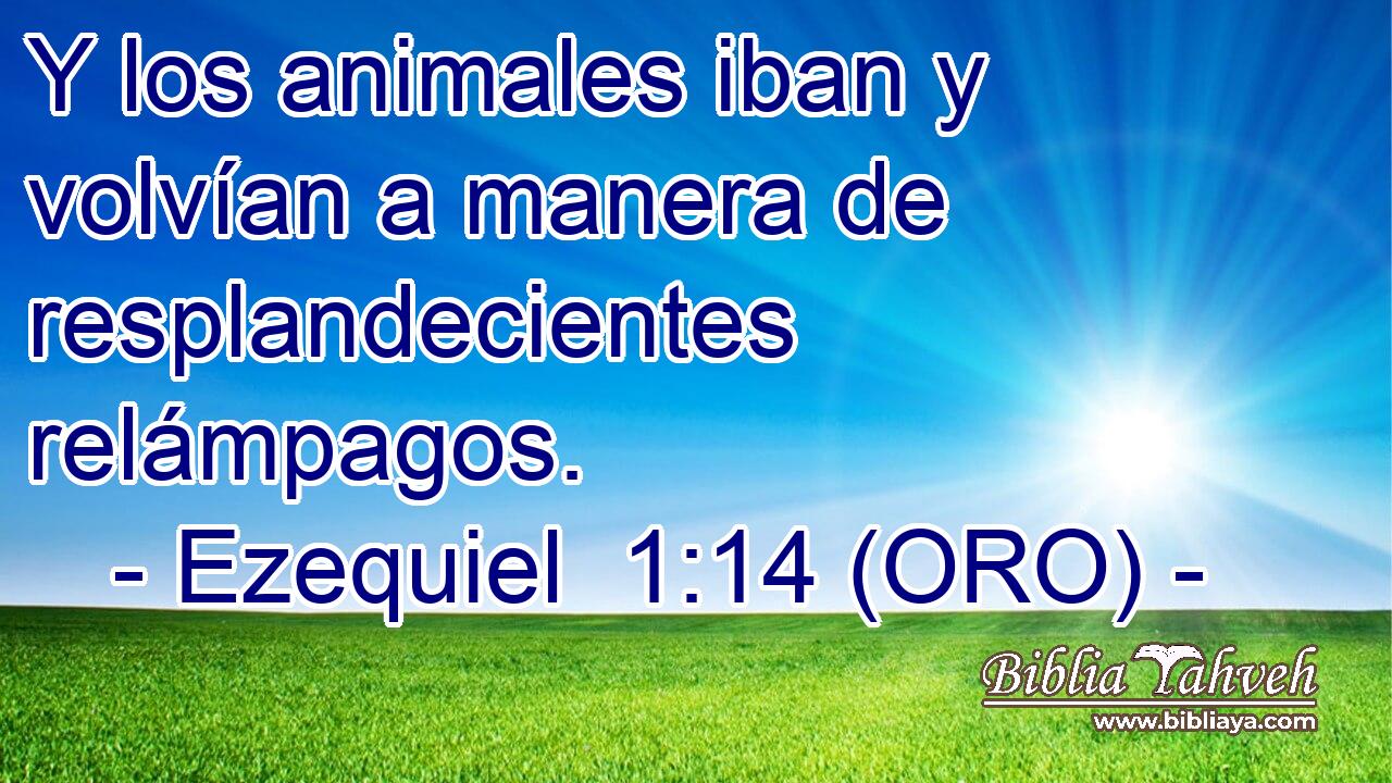  Y los animales iban y volvían a manera de resplandecientes relámpagos. 