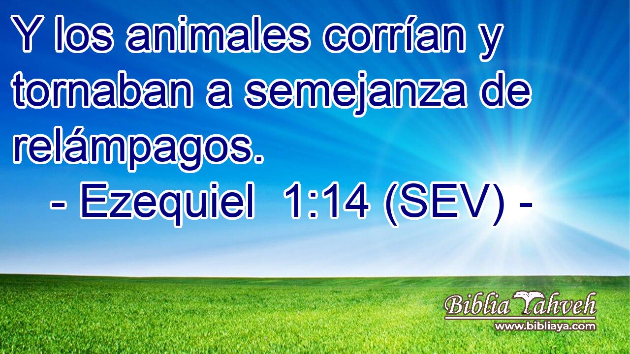 Y los animales corrían y tornaban a semejanza de relámpagos.