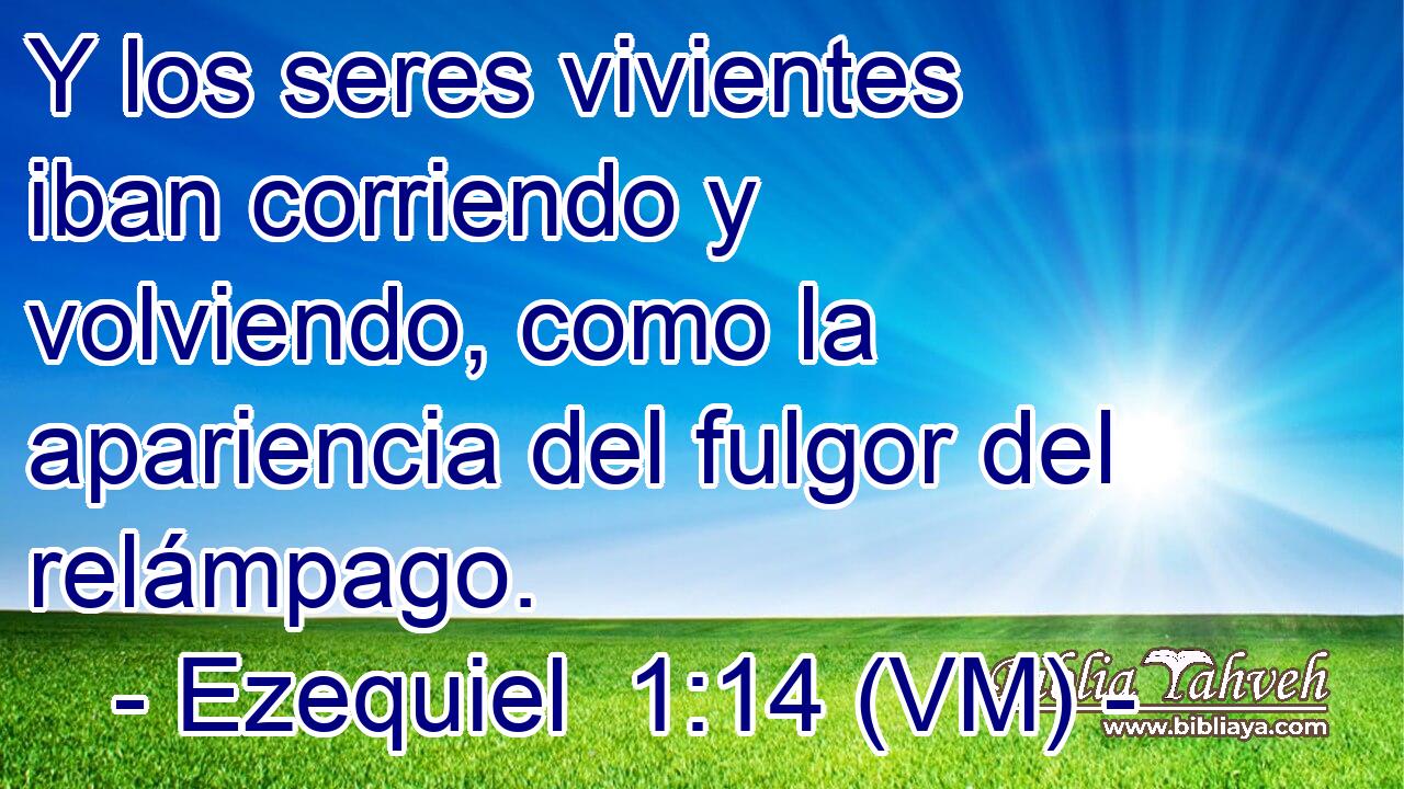  Y los seres vivientes iban corriendo y volviendo, como la apariencia del fulgor del relámpago. 
