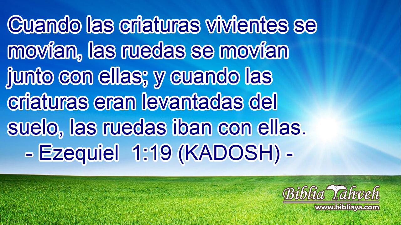  Cuando las criaturas vivientes se movían, las ruedas se movían junto con ellas; y cuando las criaturas eran levantadas del suelo, las ruedas iban con ellas. 