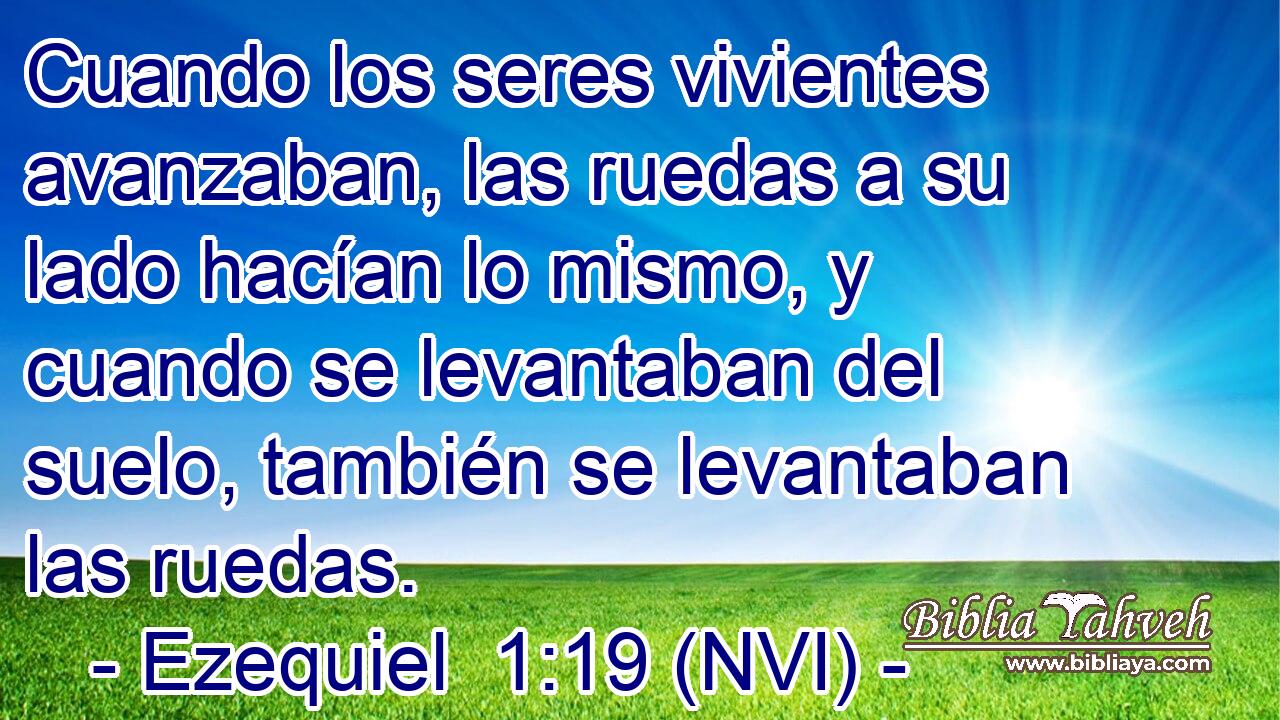  Cuando los seres vivientes avanzaban, las ruedas a su lado hacían lo mismo, y cuando se levantaban del suelo, también se levantaban las ruedas. 