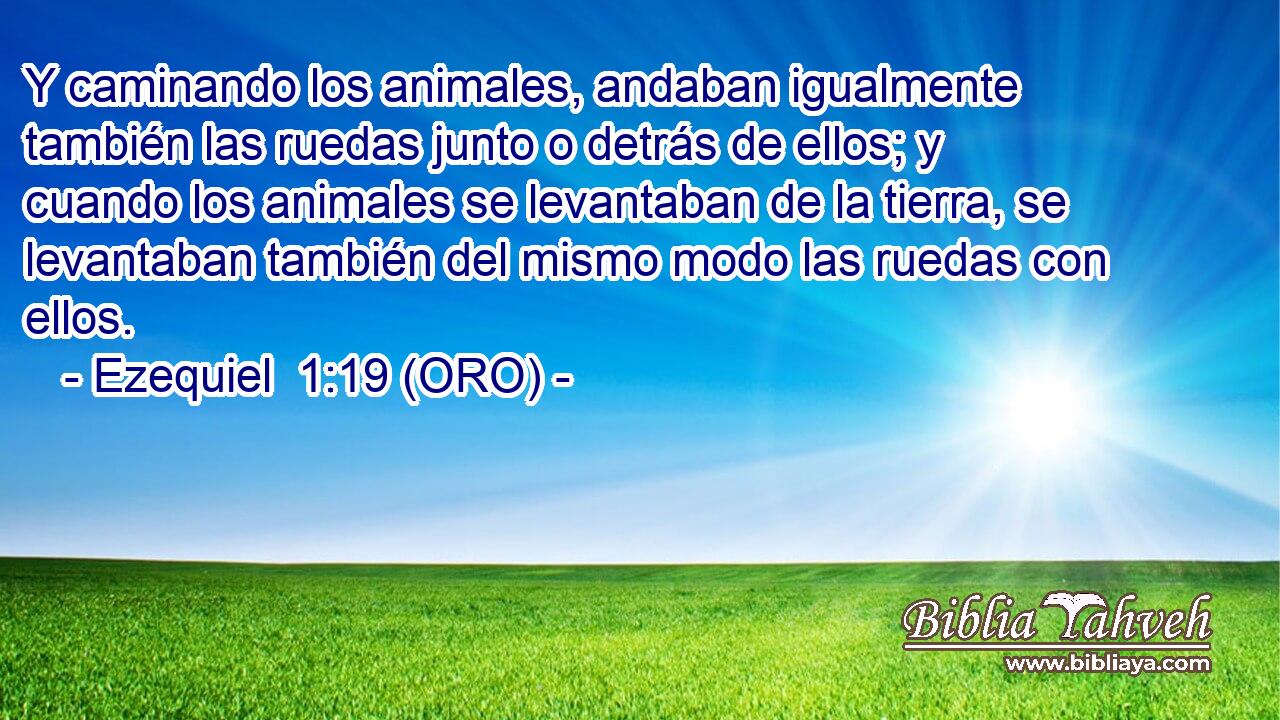  Y caminando los animales, andaban igualmente también las ruedas junto o detrás de ellos; y cuando los animales se levantaban de la tierra, se levantaban también del mismo modo las ruedas con ellos. 