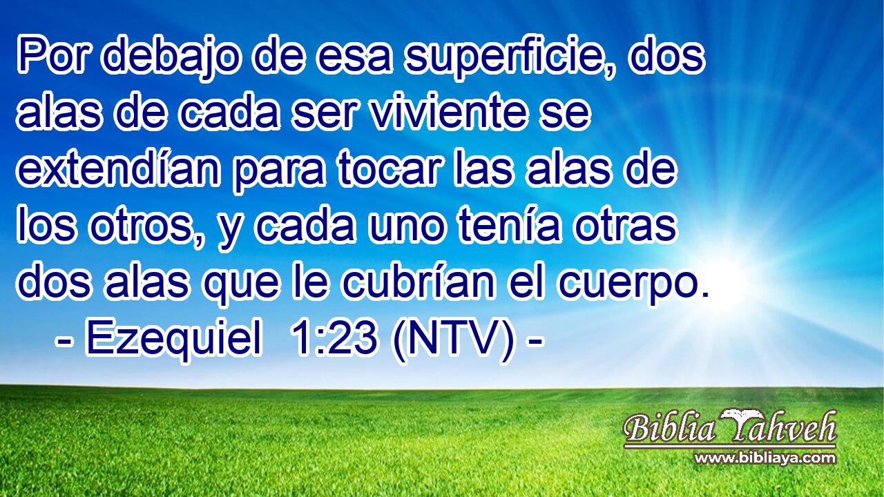 Por debajo de esa superficie, dos alas de cada ser viviente se extendían para tocar las alas de los otros, y cada uno tenía otras dos alas que le cubrían el cuerpo.
