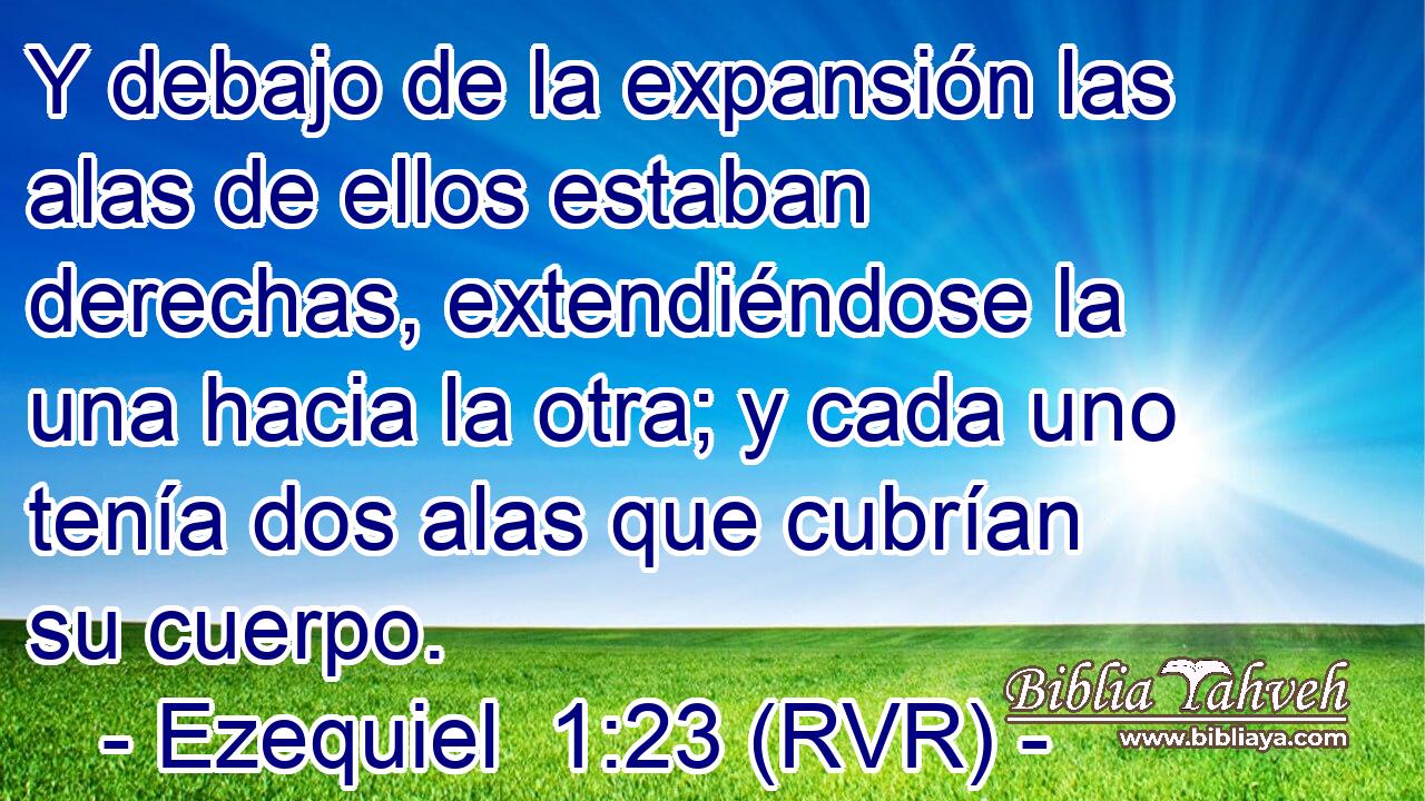 Y debajo de la expansión las alas de ellos estaban derechas, extendiéndose la una hacia la otra; y cada uno tenía dos alas que cubrían su cuerpo.