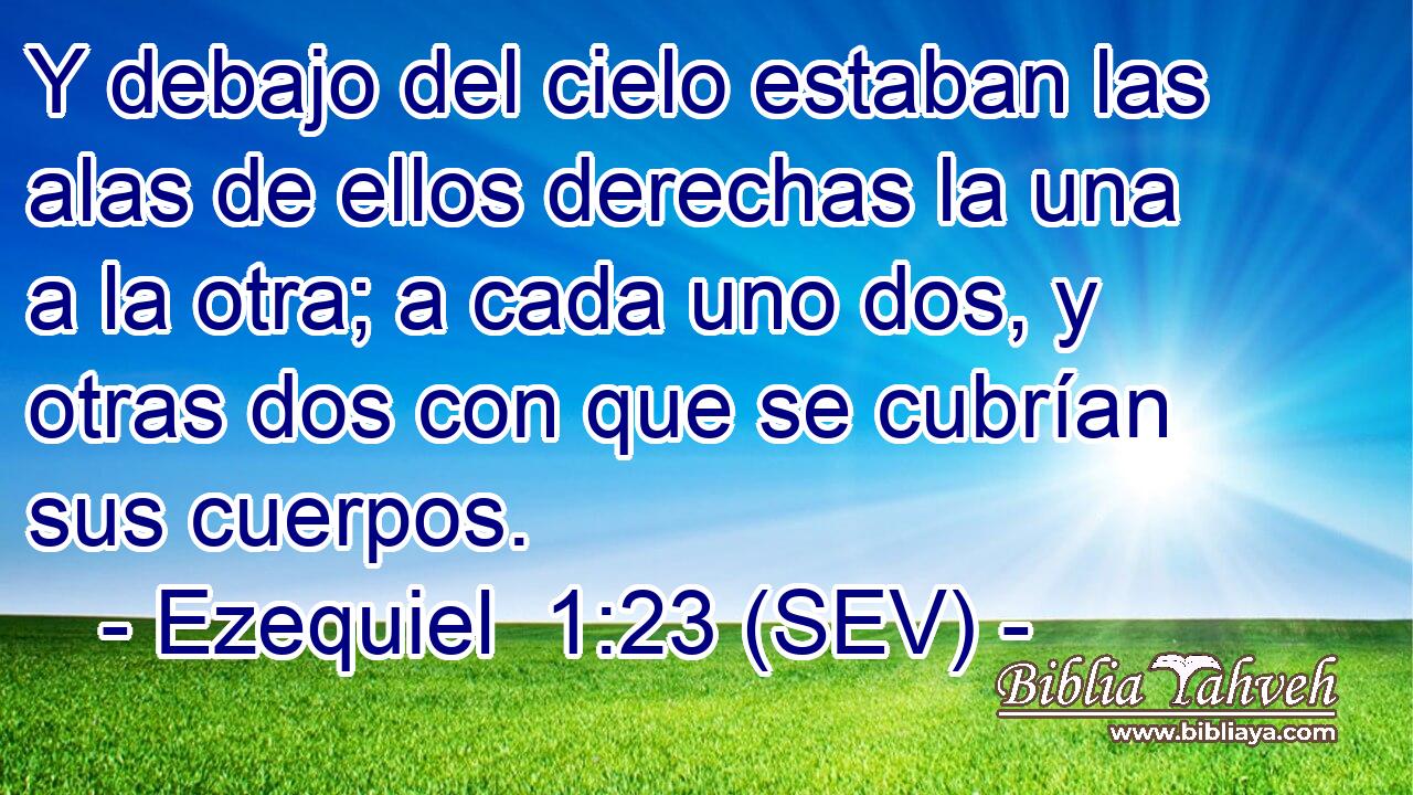 Y debajo del cielo estaban las alas de ellos derechas la una a la otra; a cada uno dos, y otras dos con que se cubrían sus cuerpos.