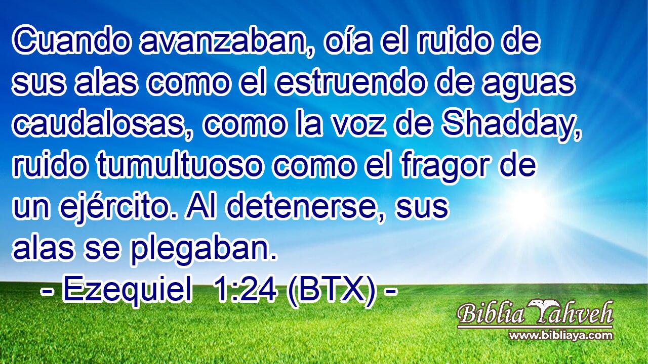 Cuando avanzaban, oía el ruido de sus alas como el estruendo de aguas caudalosas, como la voz de Shadday, ruido tumultuoso como el fragor de un ejército. Al detenerse, sus alas se plegaban.