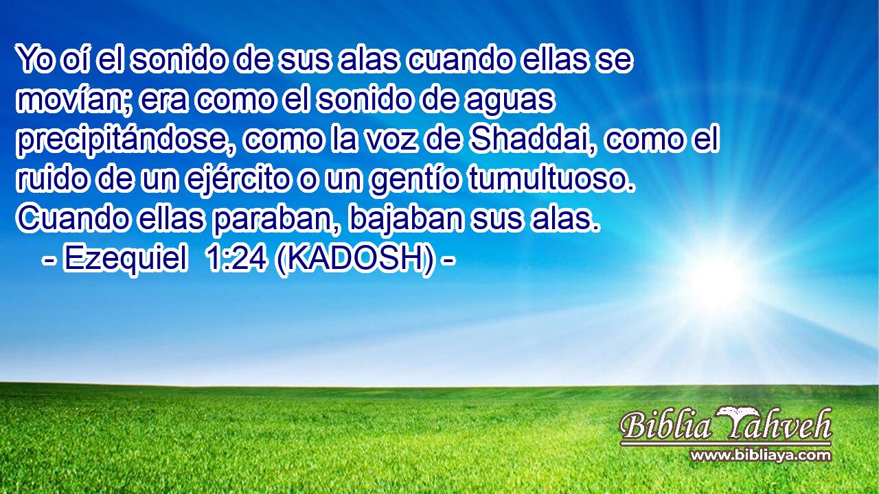  Yo oí el sonido de sus alas cuando ellas se movían; era como el sonido de aguas precipitándose, como la voz de Shaddai, como el ruido de un ejército o un gentío tumultuoso. Cuando ellas paraban, bajaban sus alas. 