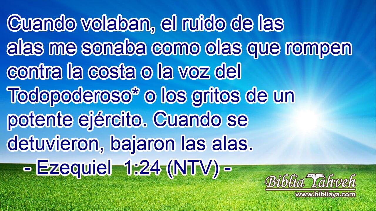 Cuando volaban, el ruido de las alas me sonaba como olas que rompen contra la costa o la voz del Todopoderoso* o los gritos de un potente ejército. Cuando se detuvieron, bajaron las alas.