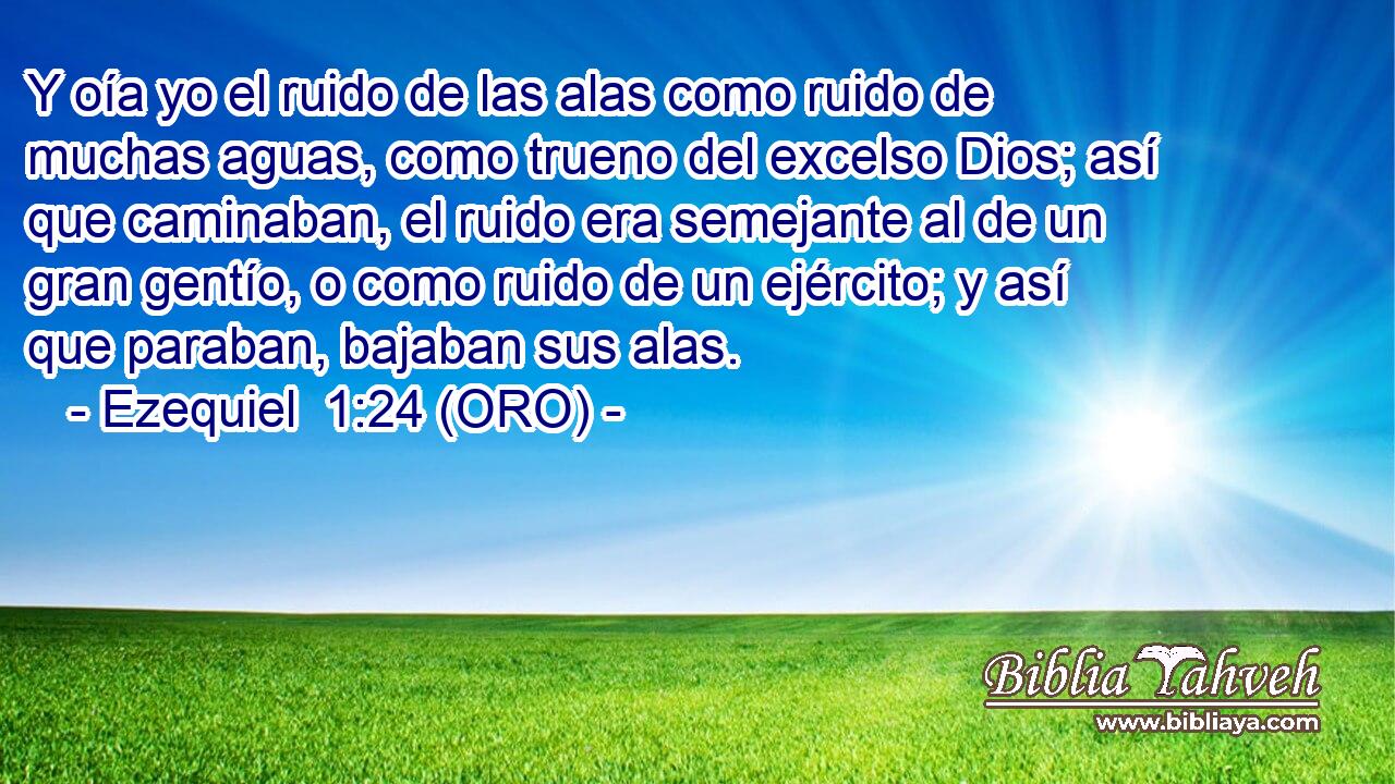  Y oía yo el ruido de las alas como ruido de muchas aguas, como trueno del excelso Dios; así que caminaban, el ruido era semejante al de un gran gentío, o como ruido de un ejército; y así que paraban, bajaban sus alas. 