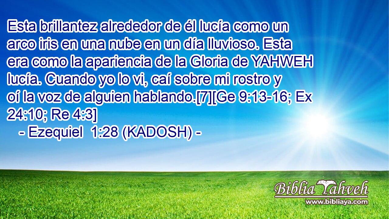 Esta brillantez alrededor de él lucía como un arco iris en una nube en un día lluvioso. Esta era como la apariencia de la Gloria de YAHWEH lucía. Cuando yo lo vi, caí sobre mi rostro y oí la voz de alguien hablando.[7][Ge 9:13-16; Ex 24:10; Re 4:3] 