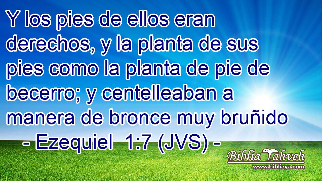 Y los pies de ellos eran derechos, y la planta de sus pies como la planta de pie de becerro; y centelleaban a manera de bronce muy bruñido