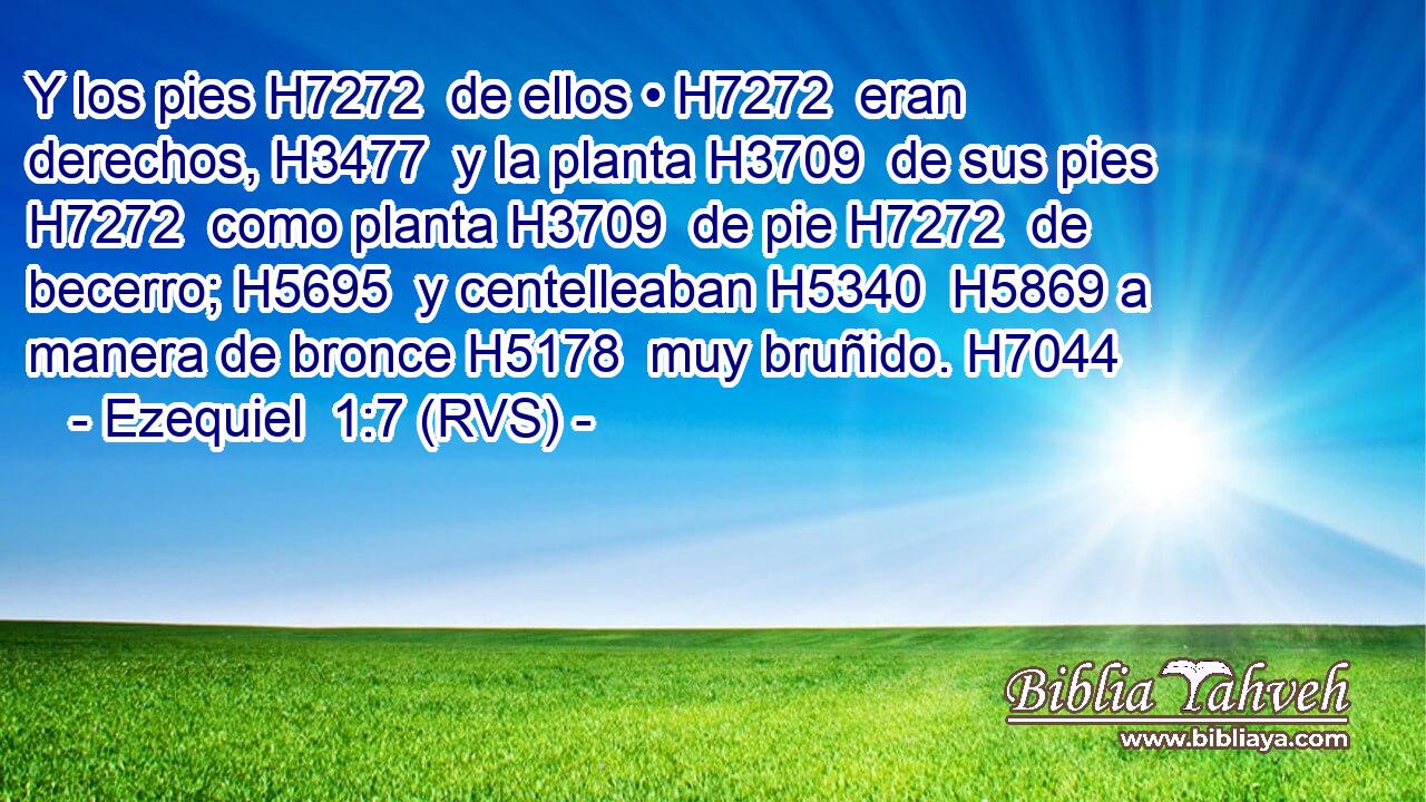 Y los pies H7272  de ellos • H7272  eran derechos, H3477  y la planta H3709  de sus pies H7272  como planta H3709  de pie H7272  de becerro; H5695  y centelleaban H5340  H5869 a manera de bronce H5178  muy bruñido. H7044  