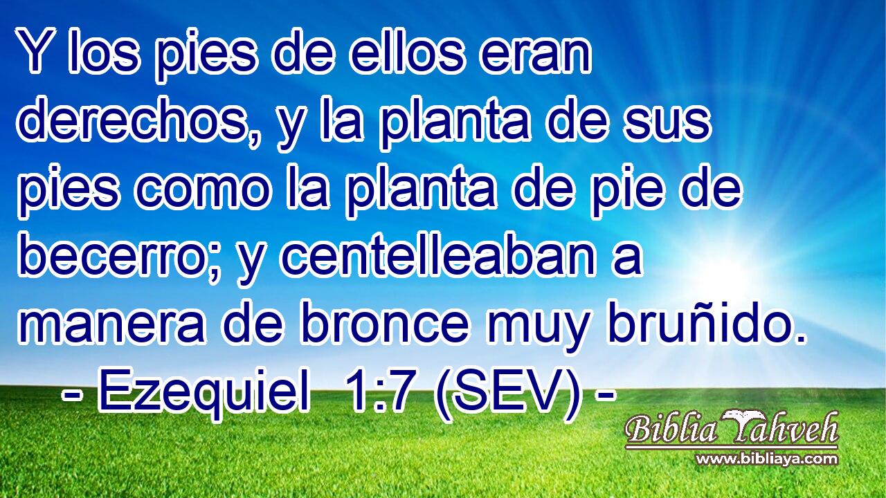 Y los pies de ellos eran derechos, y la planta de sus pies como la planta de pie de becerro; y centelleaban a manera de bronce muy bruñido.