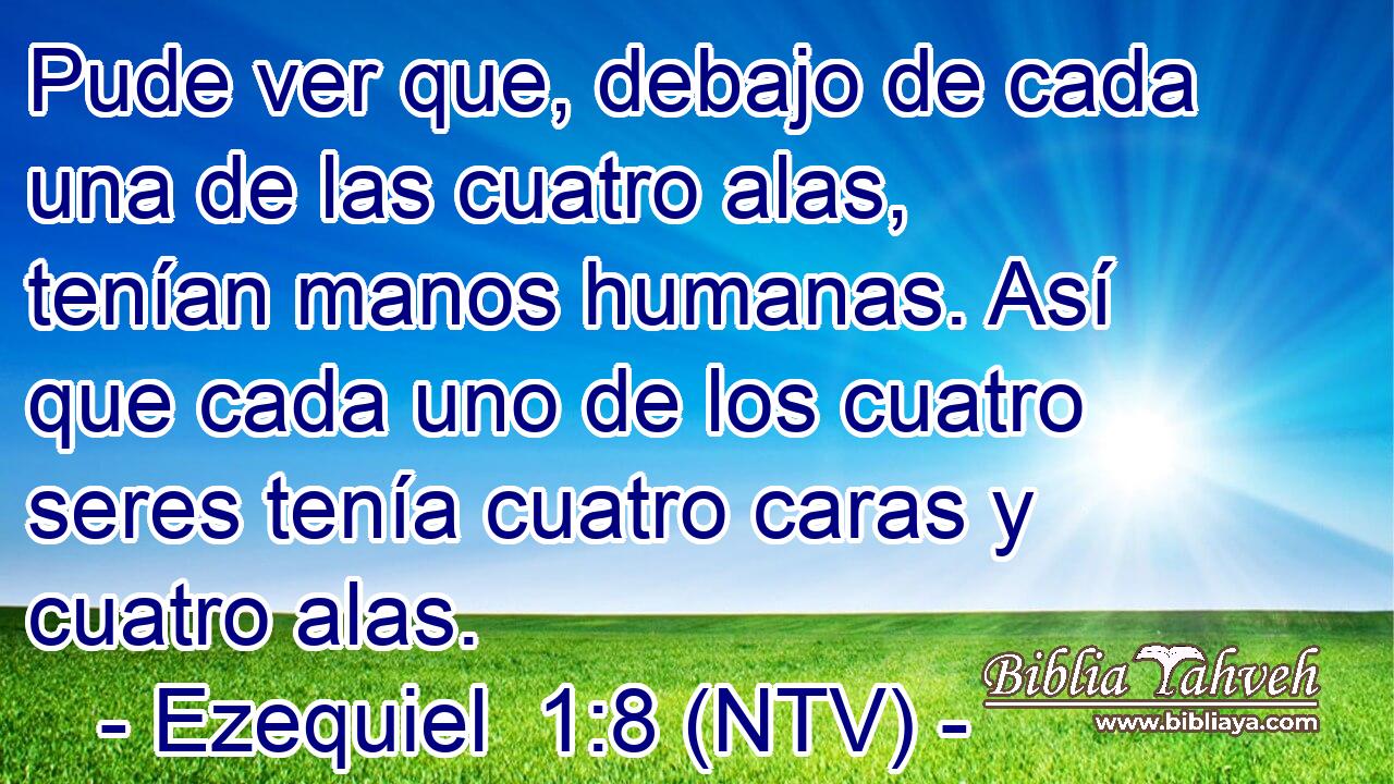 Pude ver que, debajo de cada una de las cuatro alas, tenían manos humanas. Así que cada uno de los cuatro seres tenía cuatro caras y cuatro alas.