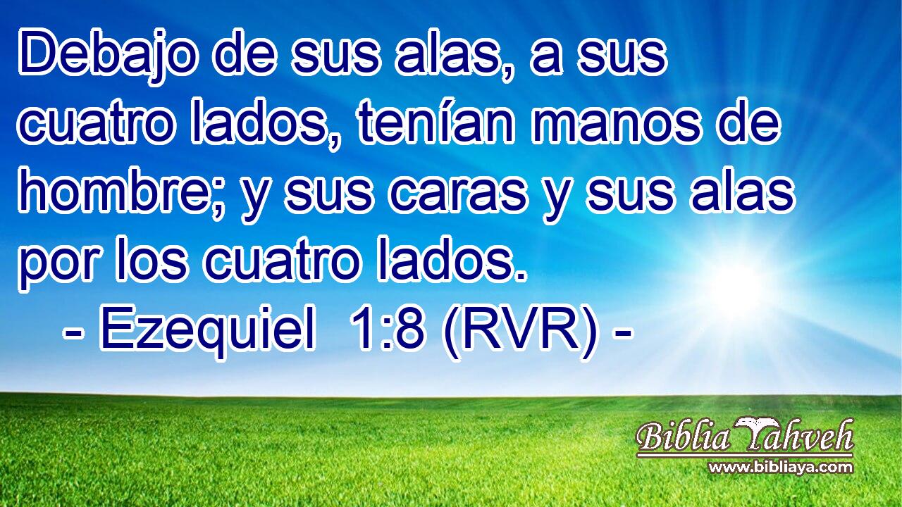 Debajo de sus alas, a sus cuatro lados, tenían manos de hombre; y sus caras y sus alas por los cuatro lados.