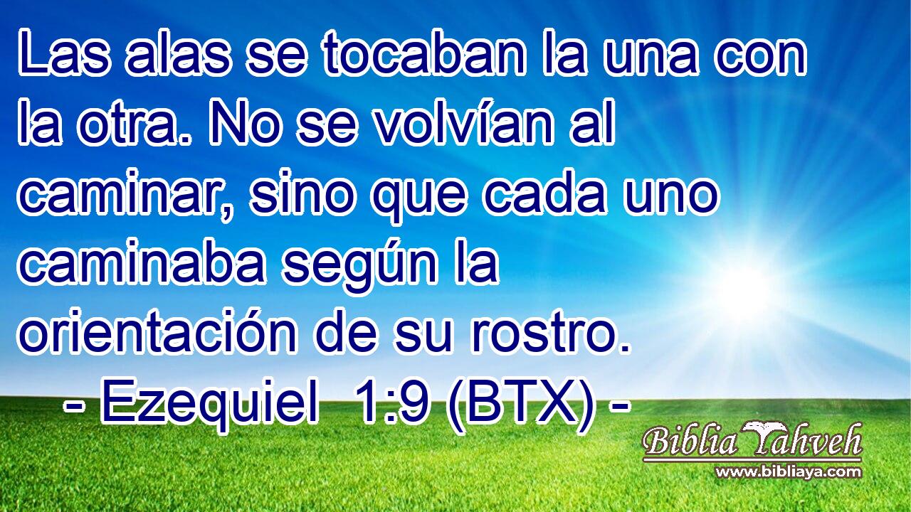 Las alas se tocaban la una con la otra. No se volvían al caminar, sino que cada uno caminaba según la orientación de su rostro.