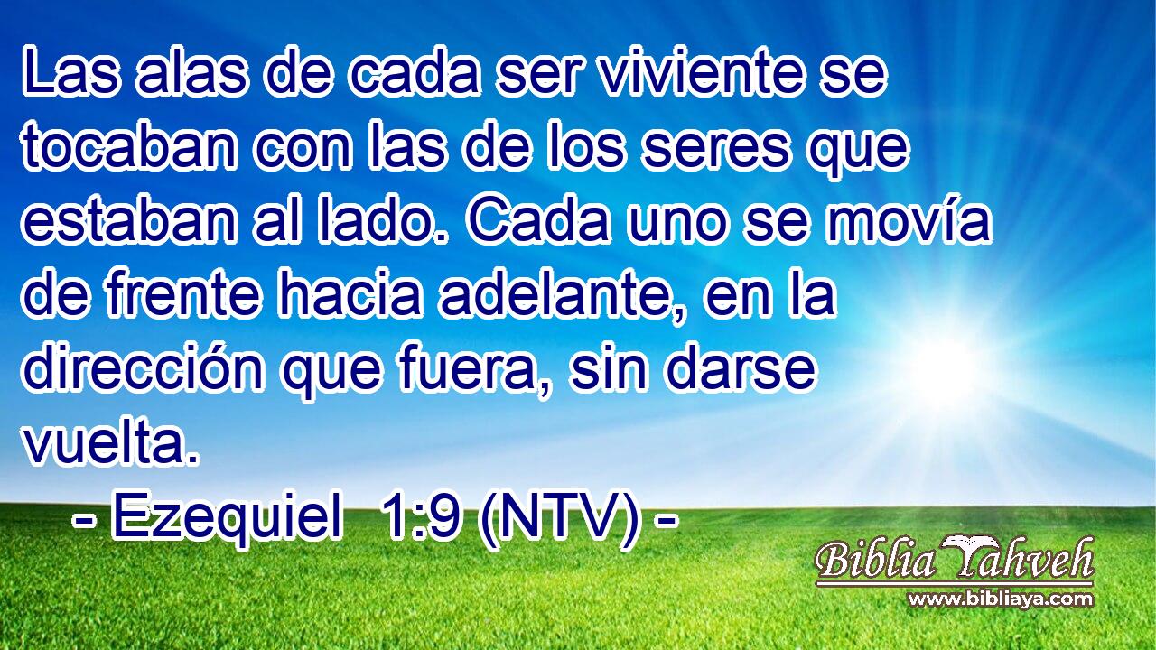 Las alas de cada ser viviente se tocaban con las de los seres que estaban al lado. Cada uno se movía de frente hacia adelante, en la dirección que fuera, sin darse vuelta.