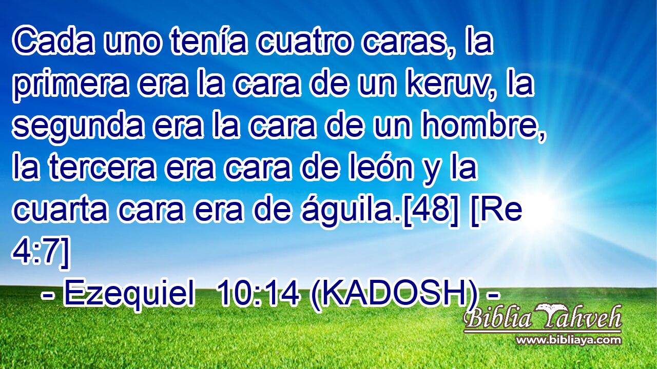  Cada uno tenía cuatro caras, la primera era la cara de un keruv, la segunda era la cara de un hombre, la tercera era cara de león y la cuarta cara era de águila.[48] [Re 4:7] 