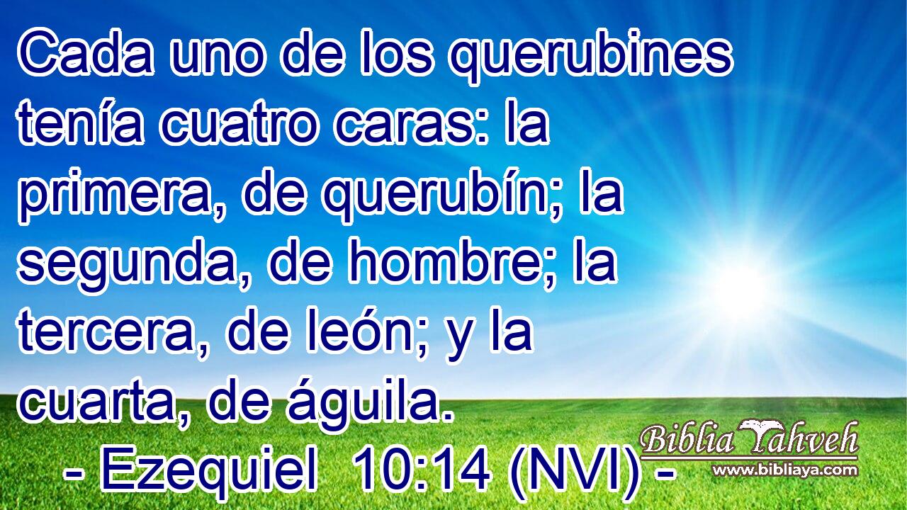  Cada uno de los querubines tenía cuatro caras: la primera, de querubín; la segunda, de hombre; la tercera, de león; y la cuarta, de águila. 