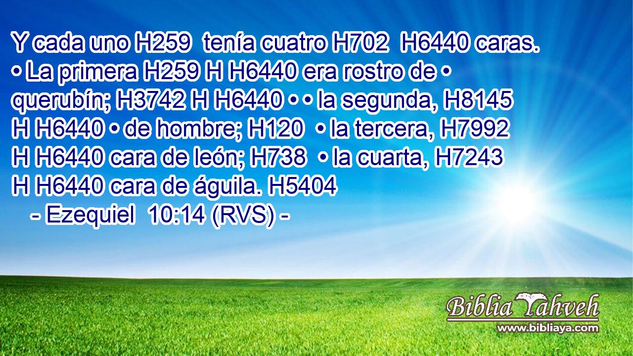 Y cada uno H259  tenía cuatro H702  H6440 caras. • La primera H259 H H6440 era rostro de • querubín; H3742 H H6440 • • la segunda, H8145 H H6440 • de hombre; H120  • la tercera, H7992 H H6440 cara de león; H738  • la cuarta, H7243 H H6440 cara de águila. H5404  