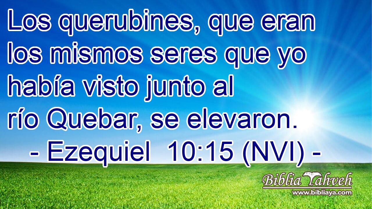 Los querubines, que eran los mismos seres que yo había visto junto al río Quebar, se elevaron. 