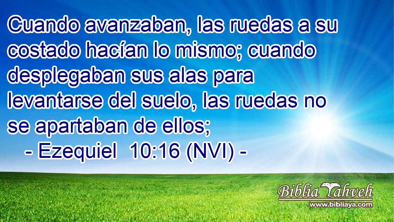  Cuando avanzaban, las ruedas a su costado hacían lo mismo; cuando desplegaban sus alas para levantarse del suelo, las ruedas no se apartaban de ellos; 