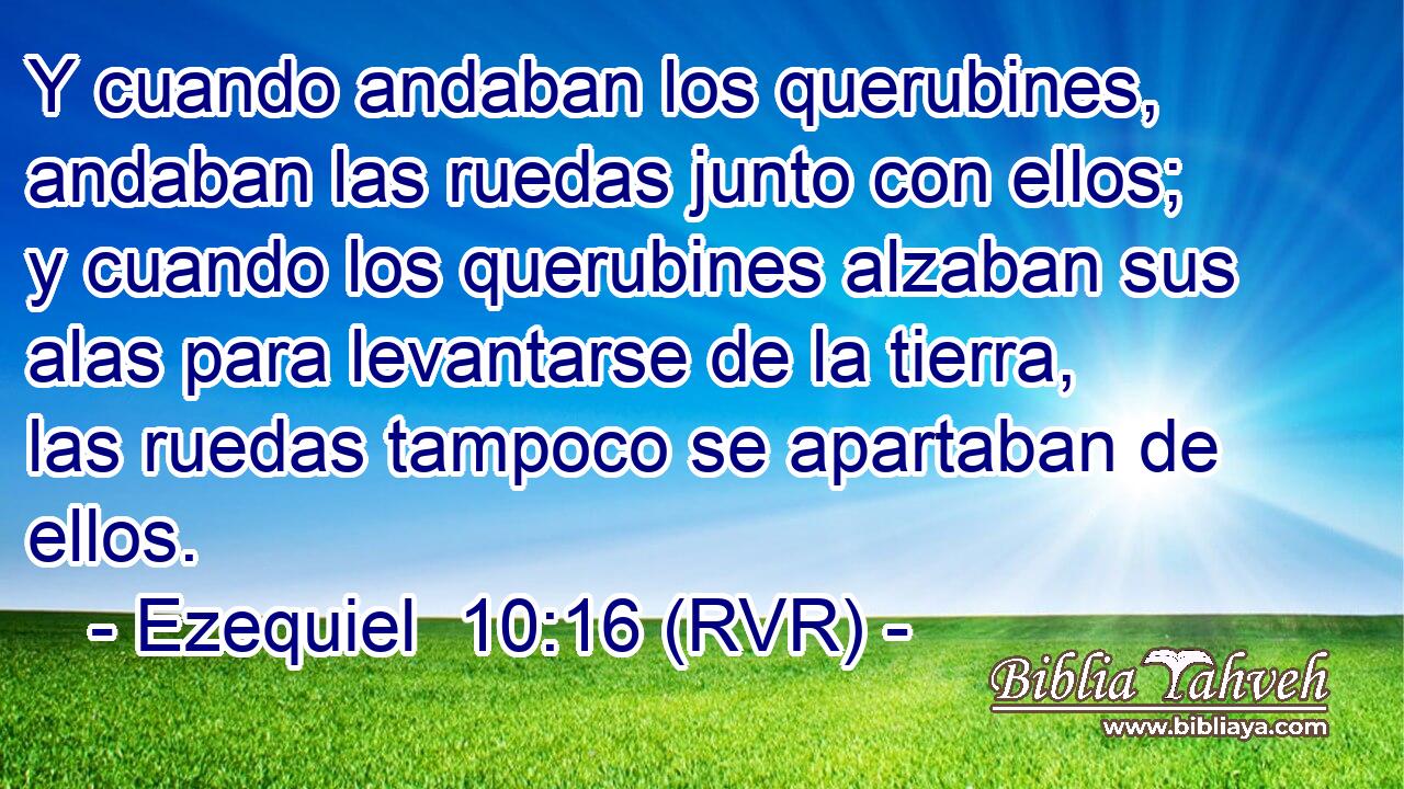Y cuando andaban los querubines, andaban las ruedas junto con ellos; y cuando los querubines alzaban sus alas para levantarse de la tierra, las ruedas tampoco se apartaban de ellos.