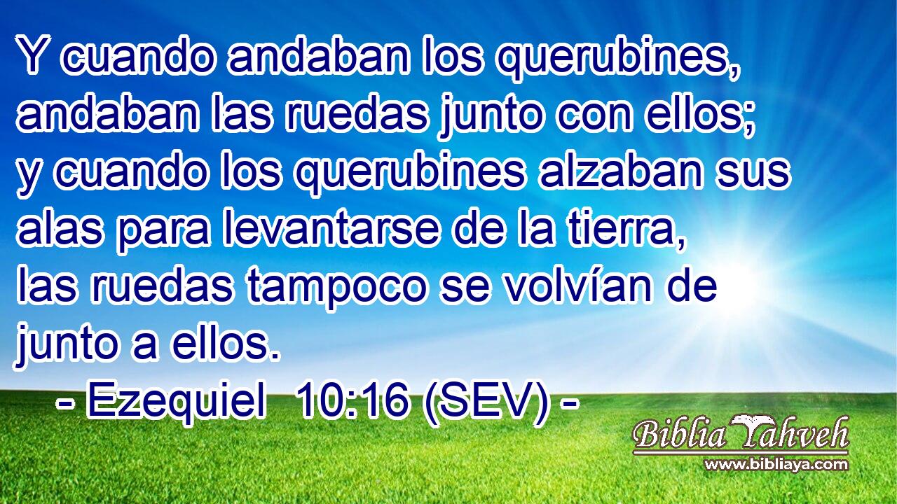 Y cuando andaban los querubines, andaban las ruedas junto con ellos; y cuando los querubines alzaban sus alas para levantarse de la tierra, las ruedas tampoco se volvían de junto a ellos.