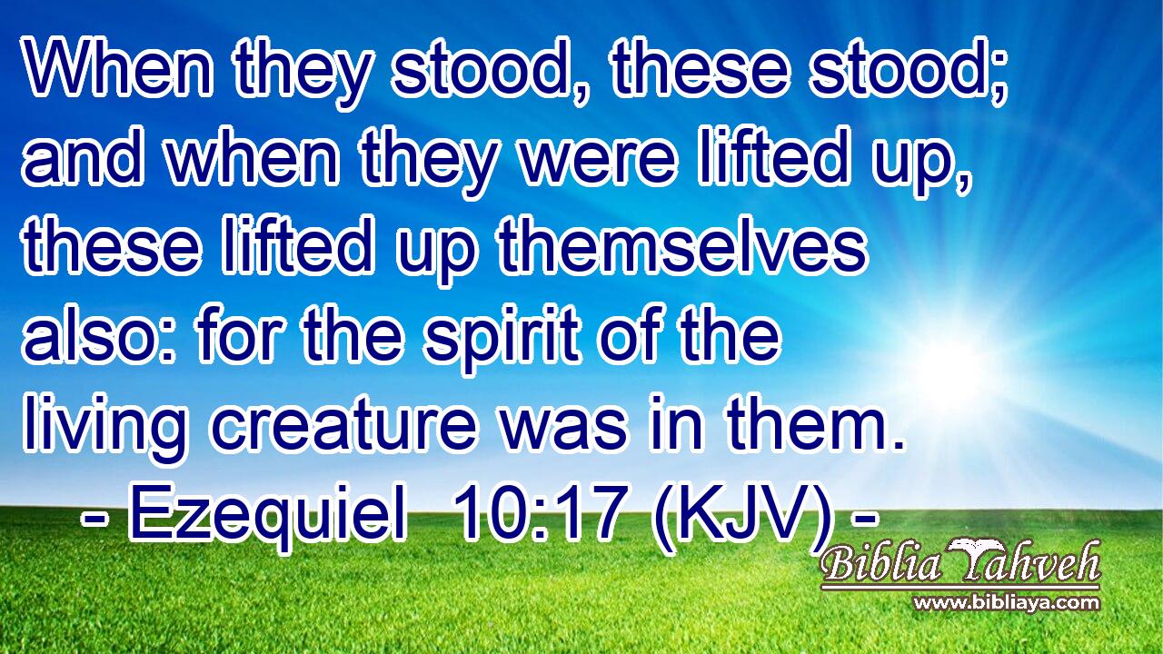 When they stood, these stood; and when they were lifted up, these lifted up themselves also: for the spirit of the living creature was in them.
