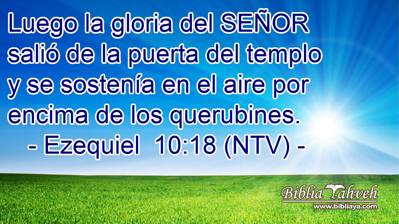 Luego la gloria del SEÑOR salió de la puerta del templo y se sostenía en el aire por encima de los querubines.