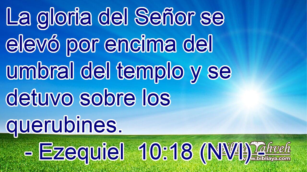  La gloria del Señor se elevó por encima del umbral del templo y se detuvo sobre los querubines. 