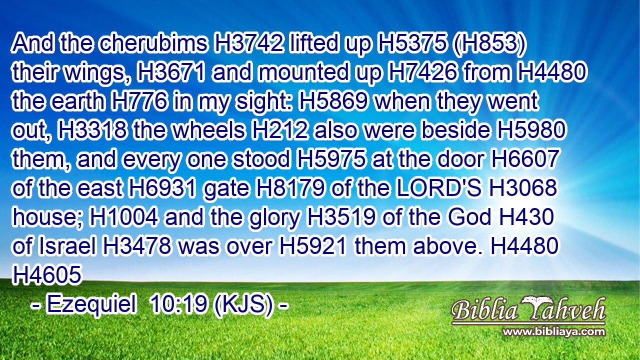 And the cherubims H3742 lifted up H5375 (H853) their wings, H3671 and mounted up H7426 from H4480 the earth H776 in my sight: H5869 when they went out, H3318 the wheels H212 also were beside H5980 them, and every one stood H5975 at the door H6607 of the east H6931 gate H8179 of the LORD'S H3068 house; H1004 and the glory H3519 of the God H430 of Israel H3478 was over H5921 them above. H4480 H4605