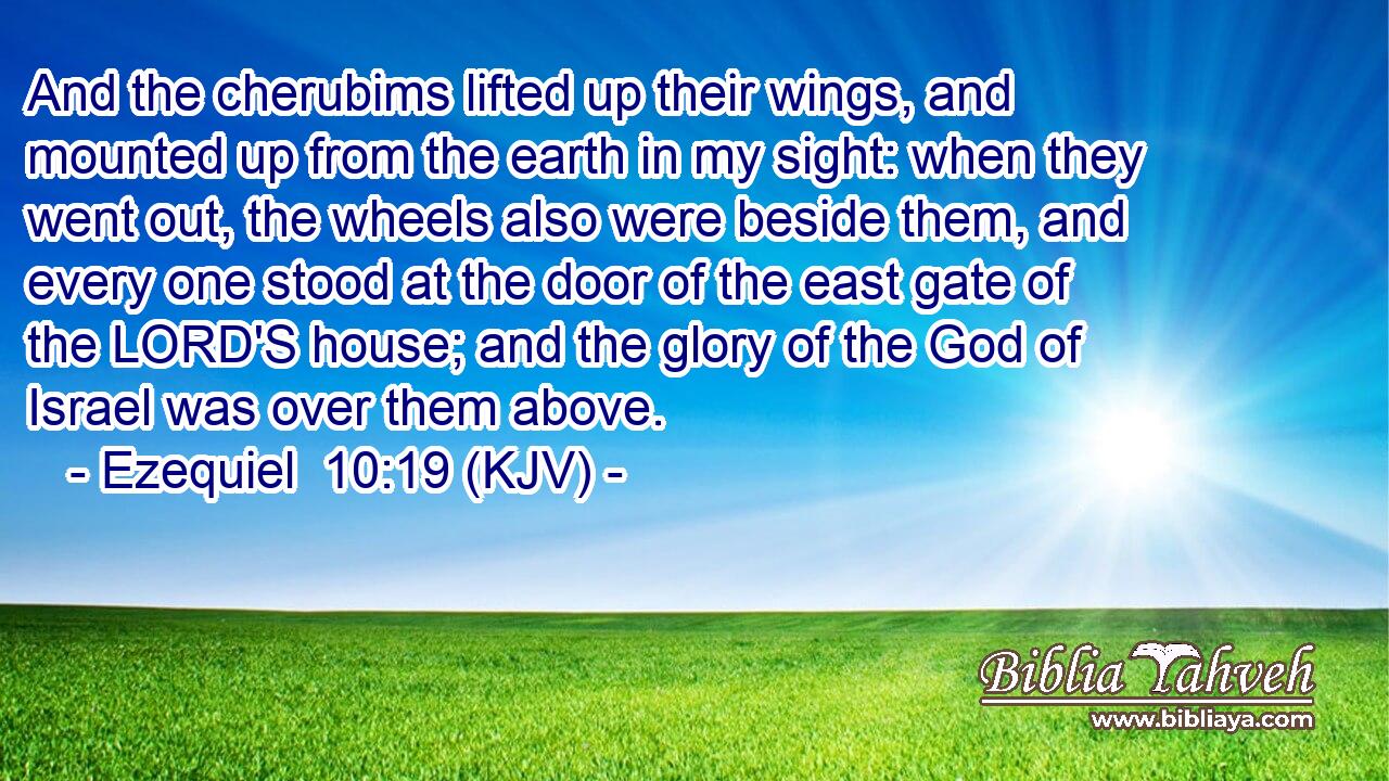 And the cherubims lifted up their wings, and mounted up from the earth in my sight: when they went out, the wheels also were beside them, and every one stood at the door of the east gate of the LORD'S house; and the glory of the God of Israel was over them above.