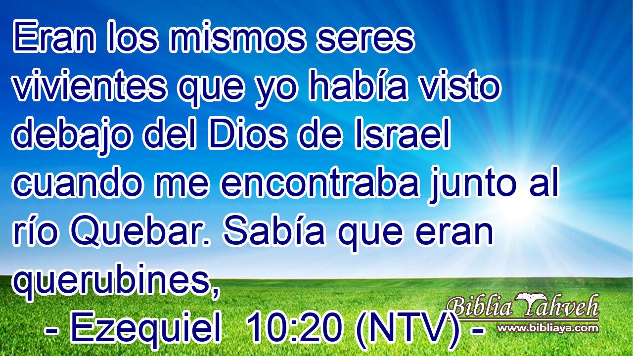 Eran los mismos seres vivientes que yo había visto debajo del Dios de Israel cuando me encontraba junto al río Quebar. Sabía que eran querubines,