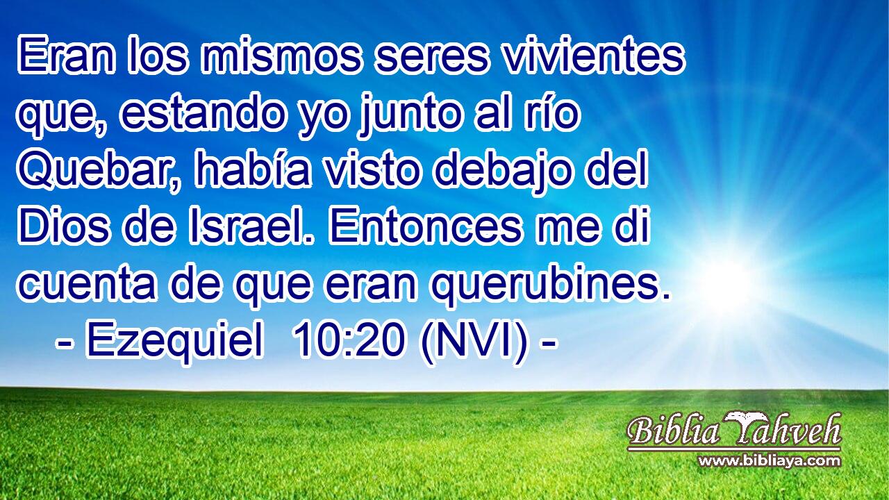  Eran los mismos seres vivientes que, estando yo junto al río Quebar, había visto debajo del Dios de Israel. Entonces me di cuenta de que eran querubines. 