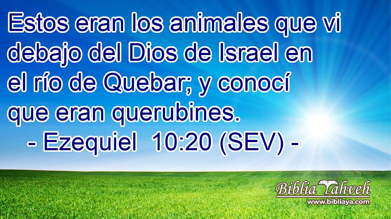 Estos eran los animales que vi debajo del Dios de Israel en el río de Quebar; y conocí que eran querubines.