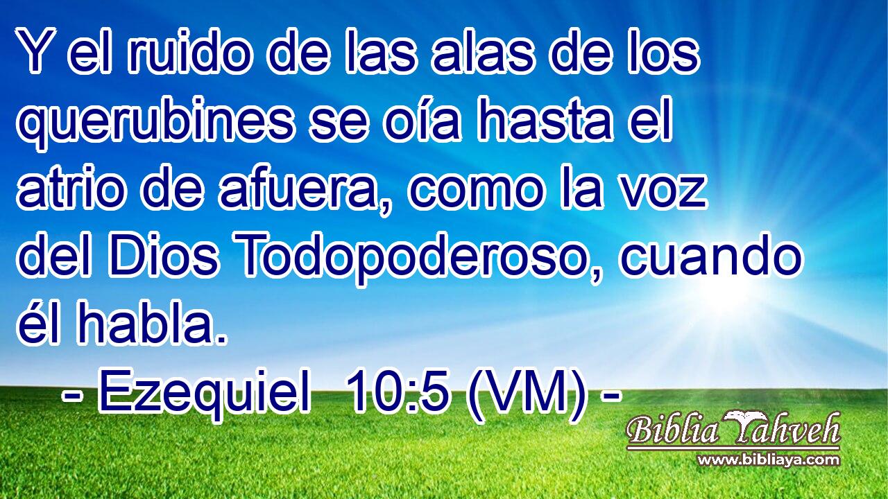  Y el ruido de las alas de los querubines se oía hasta el atrio de afuera, como la voz del Dios Todopoderoso, cuando él habla. 
