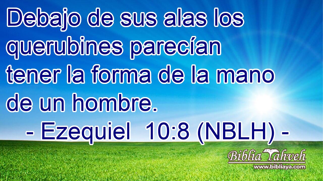  Debajo de sus alas los querubines parecían tener la forma de la mano de un hombre. 