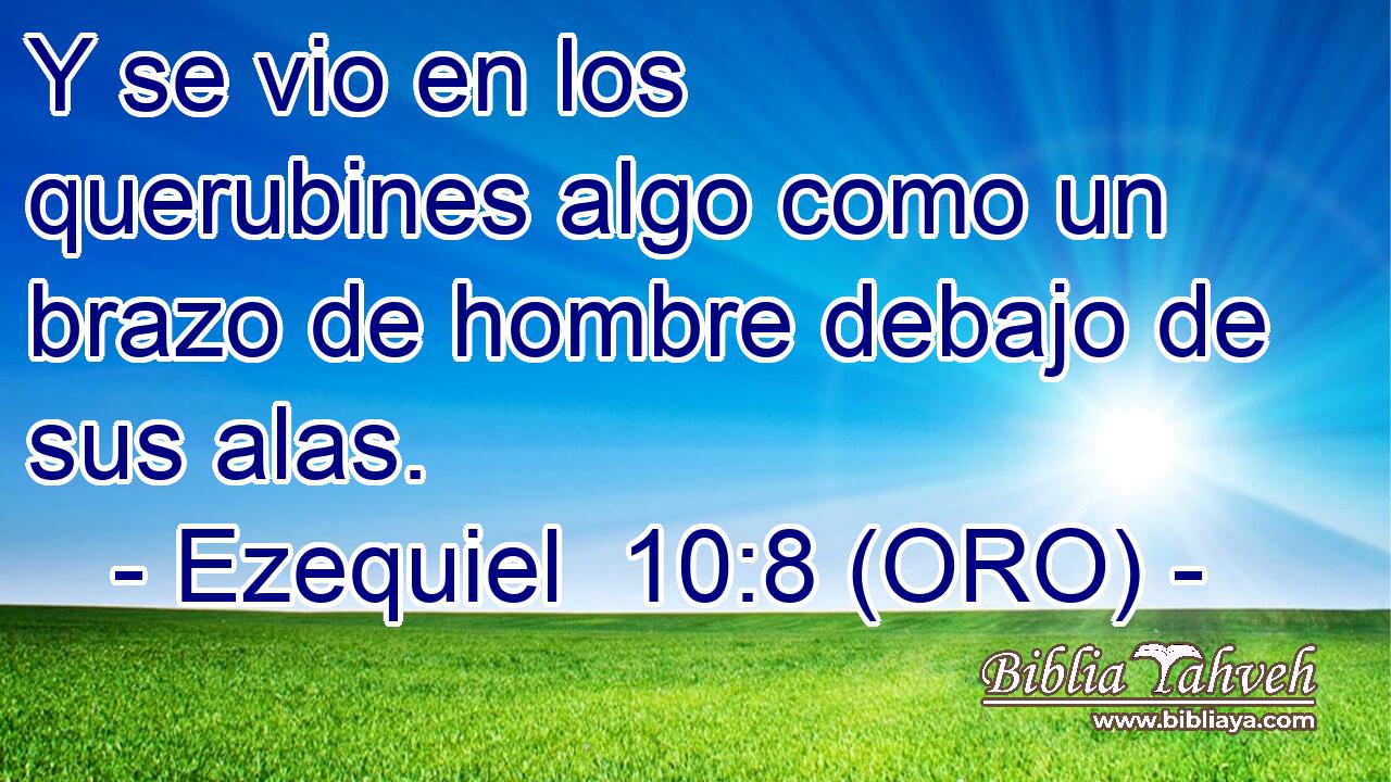  Y se vio en los querubines algo como un brazo de hombre debajo de sus alas. 