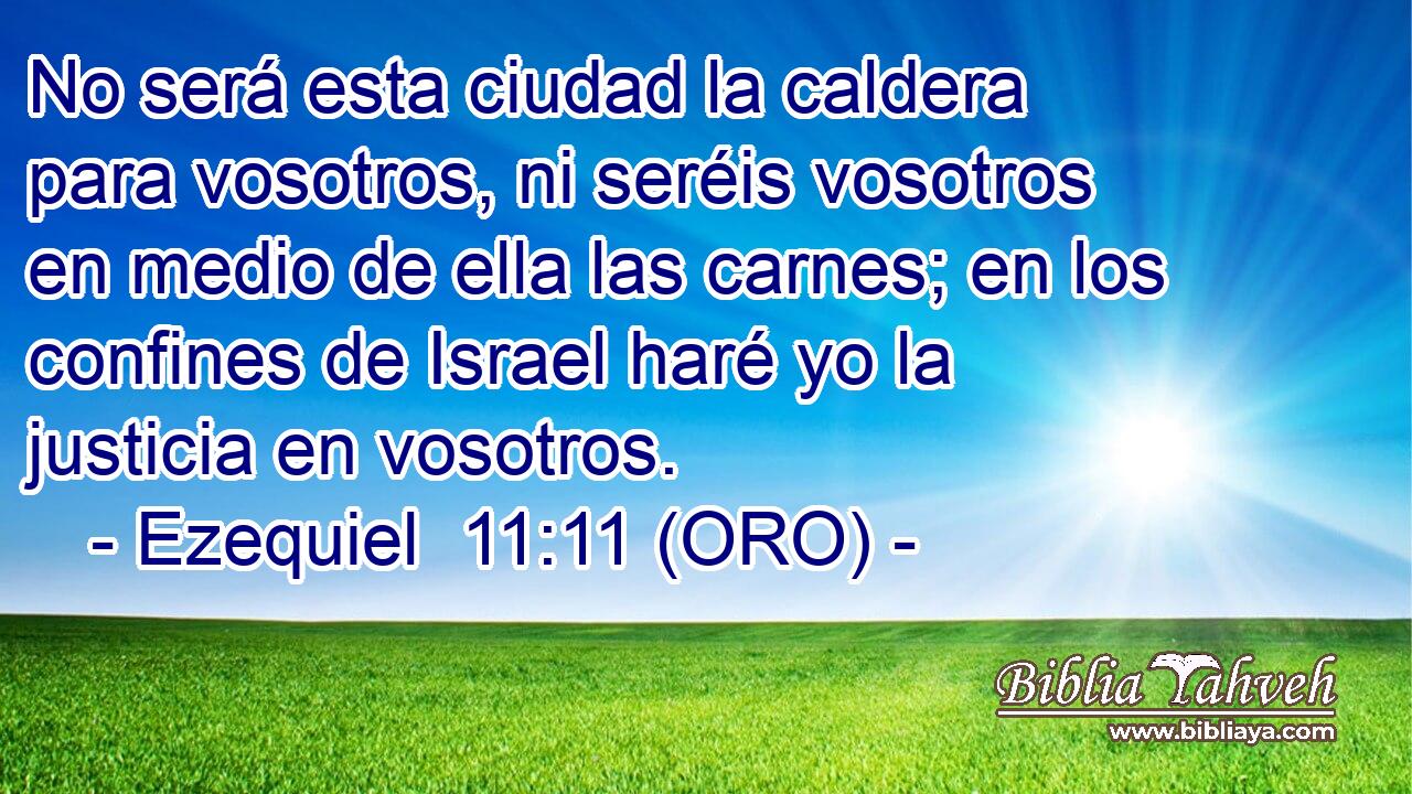  No será esta ciudad la caldera para vosotros, ni seréis vosotros en medio de ella las carnes; en los confines de Israel haré yo la justicia en vosotros. 