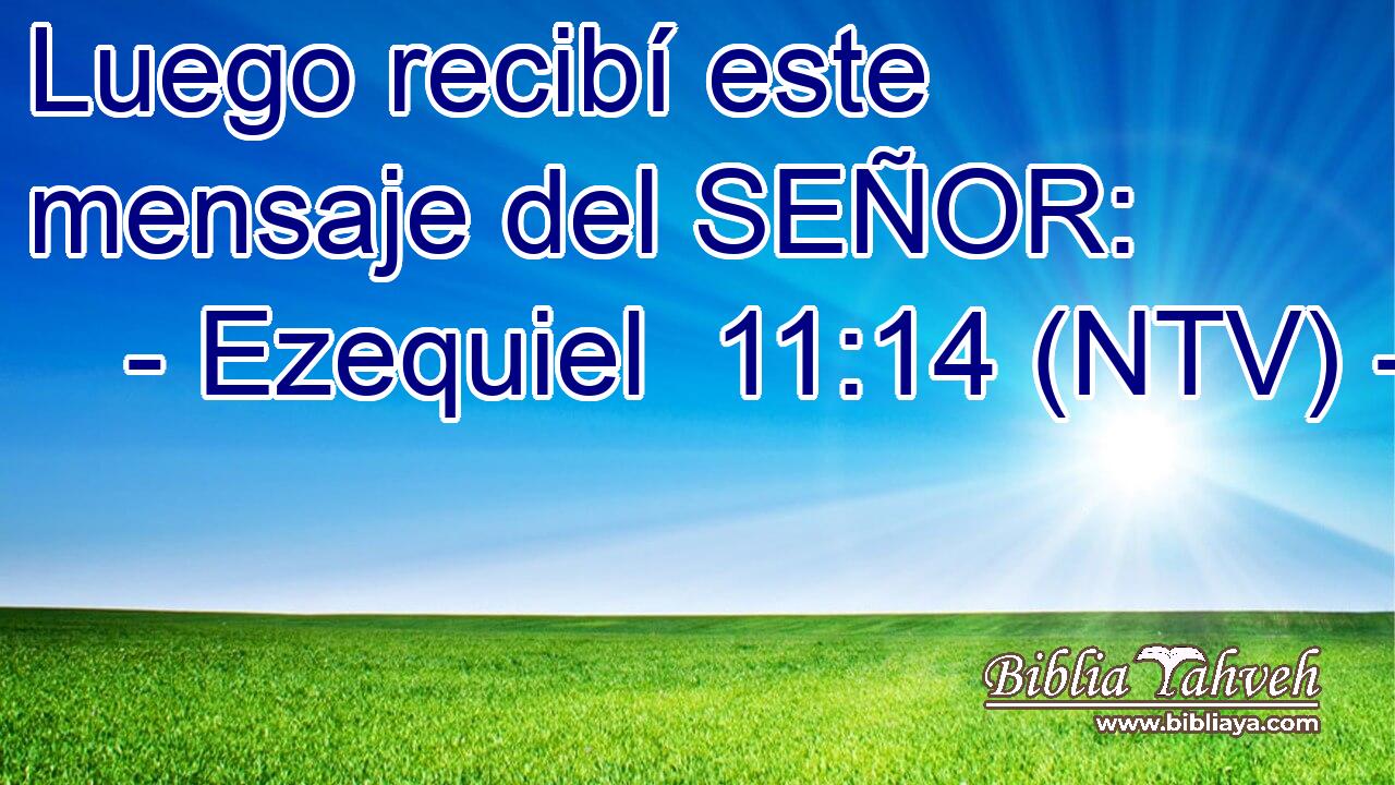 Luego recibí este mensaje del SEÑOR: