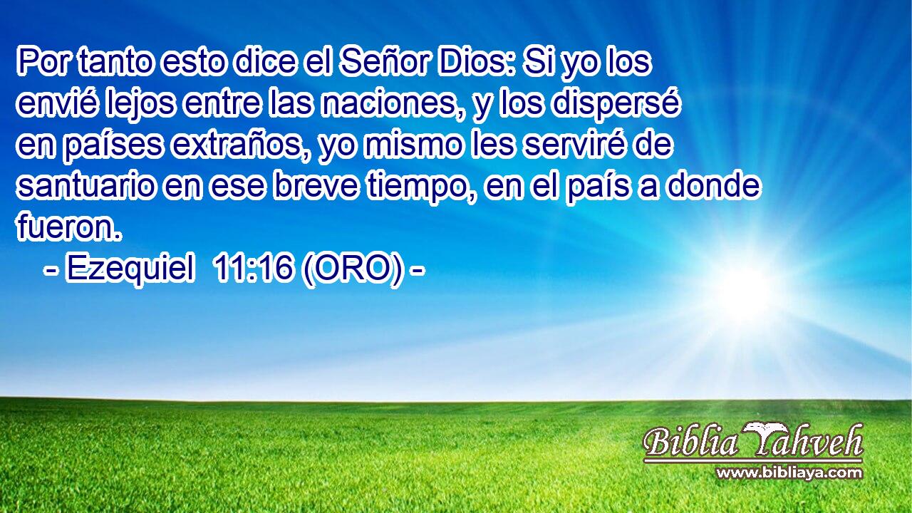  Por tanto esto dice el Señor Dios: Si yo los envié lejos entre las naciones, y los dispersé en países extraños, yo mismo les serviré de santuario en ese breve tiempo, en el país a donde fueron. 