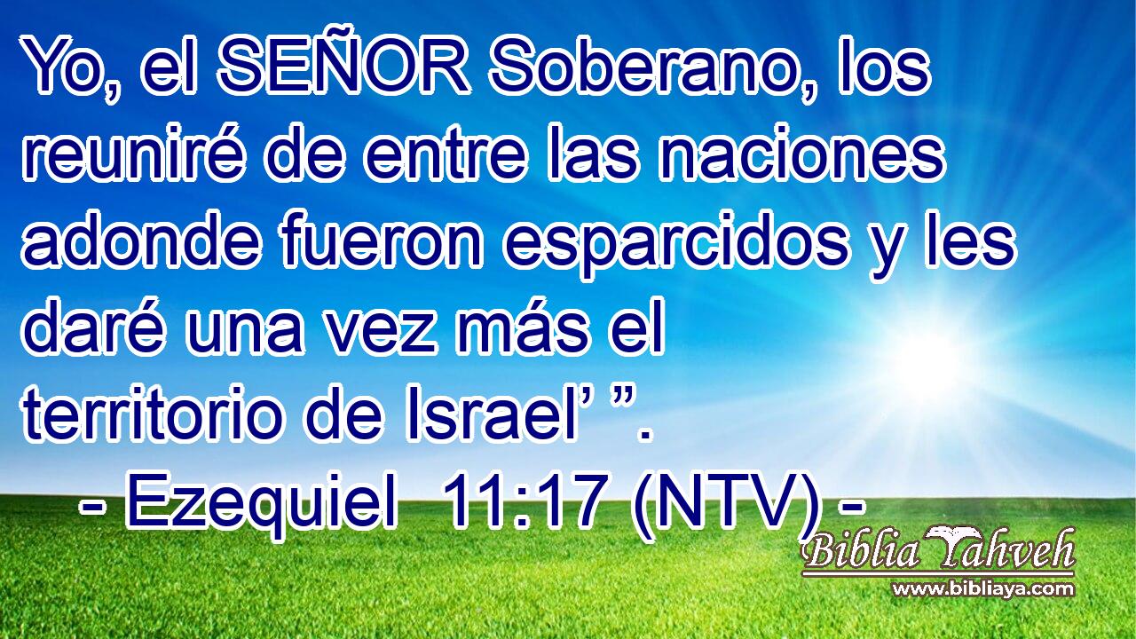 Yo, el SEÑOR Soberano, los reuniré de entre las naciones adonde fueron esparcidos y les daré una vez más el territorio de Israel’ ”.